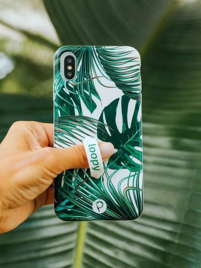 Monstera